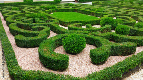 Ornamental hedges in the park, various boxwood shapes