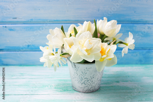 Fototapeta Naklejka Na Ścianę i Meble -  Bright white daffodils and tulips  flowers in bucket on turquoise  painted wooden planks against blue wall.
