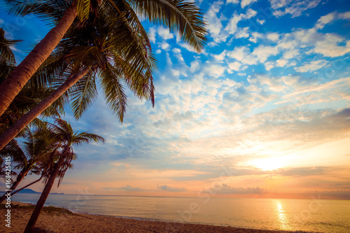 Seascape of beautiful tropical beach with palm tree at sunrise. sea view beach in summer background. © jakkapan