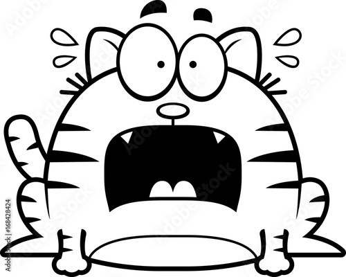 Terrified Little Cat