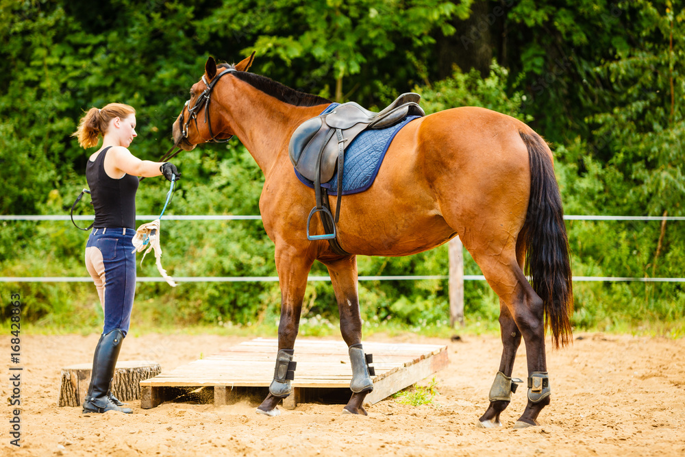 Jockey young woman getting horse ready for ride Jockey young woman getting horse ready for ride