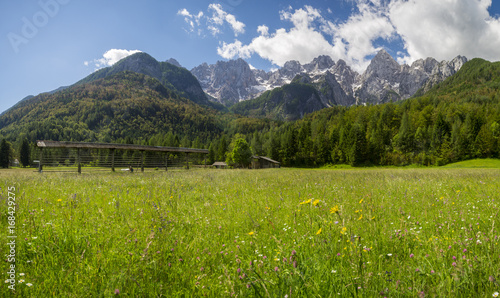 Meadow in the julian Alps in Slovenia © Mike Mareen