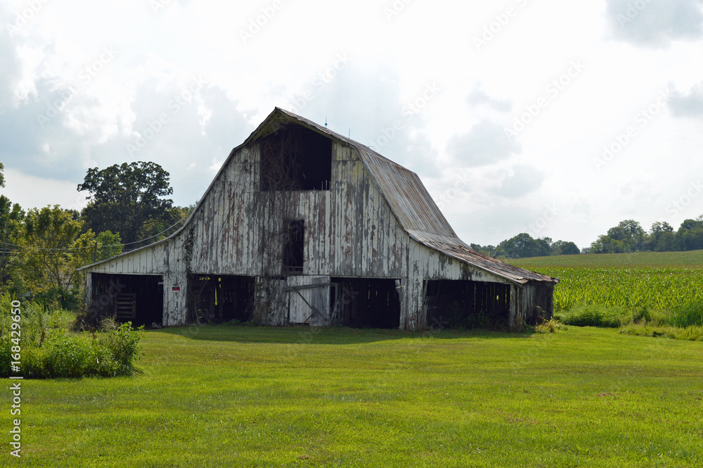 Old, rundown barn in a field on a farm in the country