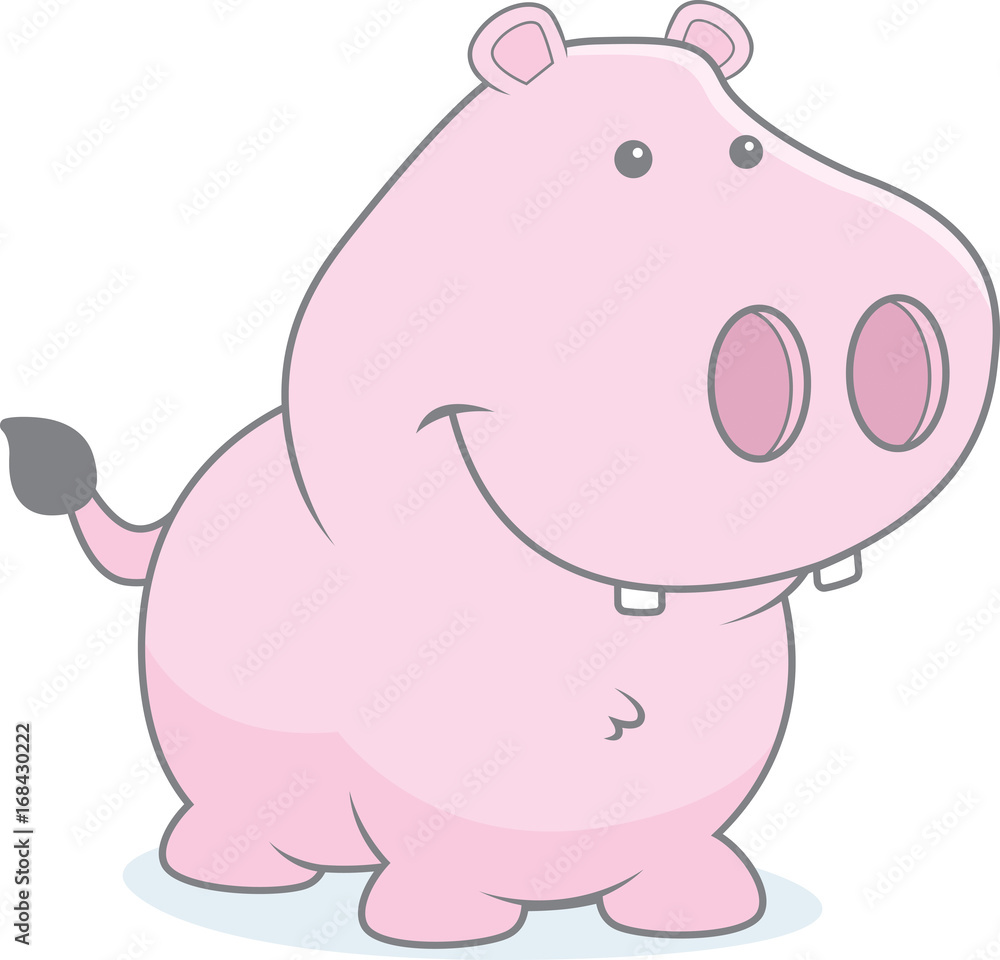 Fototapeta premium Baby Hippo
