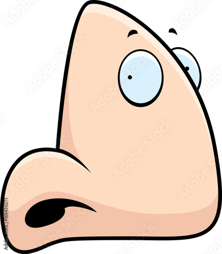 Cartoon Nose