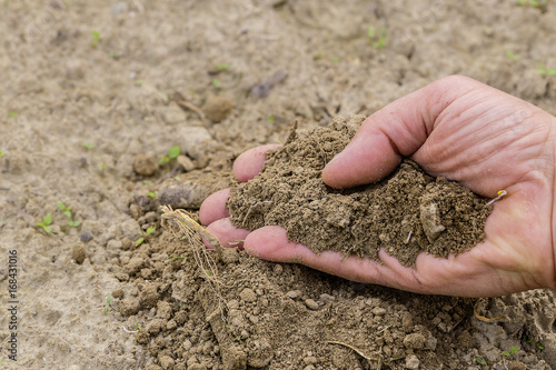 Löss Löß Lössboden