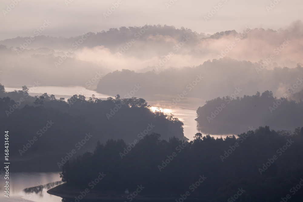 Sun ray reflected on the river in the morning with fog surrounding the trees