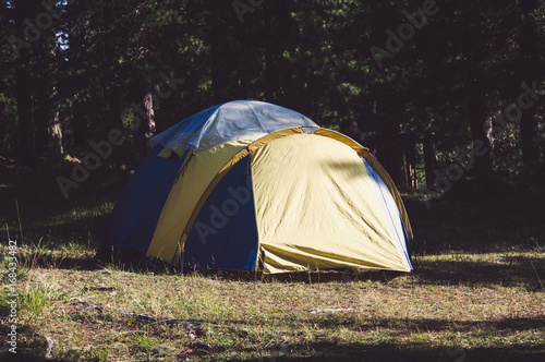 Adventures Camping and tent under the pine forest near water photo