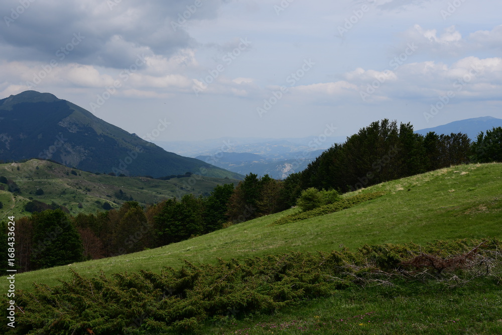 Fototapeta premium Góry (Włochy)