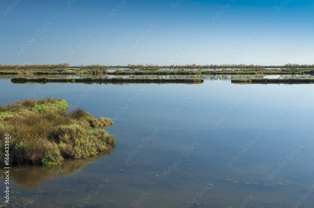 Landscape of the lagoon at the Po delta river national park, Italy.