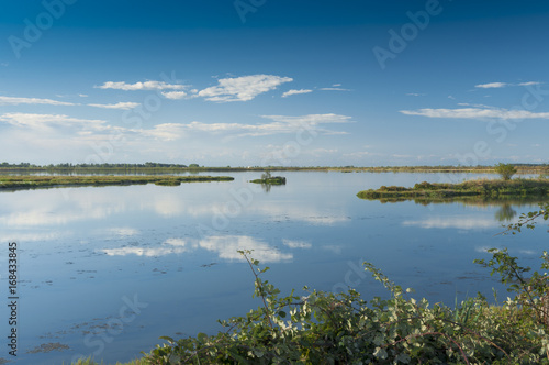 Landscape of the lagoon at the Po delta river national park, Italy. © Asuriel77