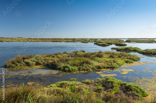 Landscape of the lagoon at the Po delta river national park, Italy.
