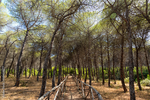 Ribera (Agrigento) - Riserva Naturale Foce del Platani  photo