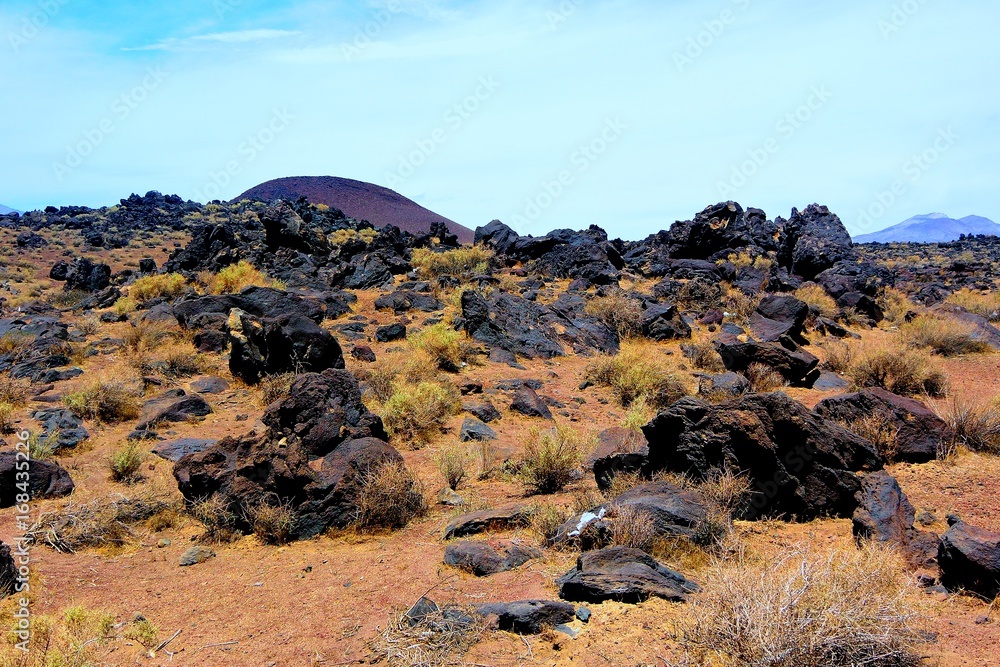Volcanic Field Volcanic Field