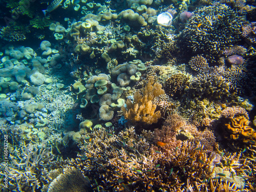 Korallenriff in Indonesien