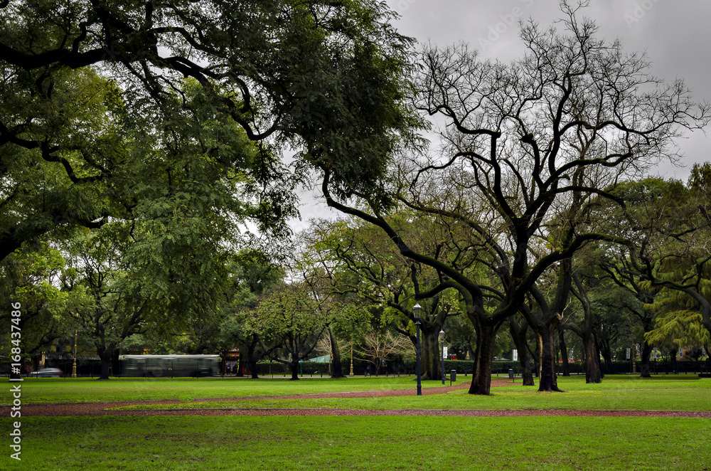 Fototapeta premium Green land