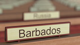 Barbados name sign among different countries plaques at international organization. 3D rendering