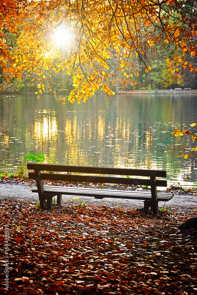 Naklejka premium Parkbank