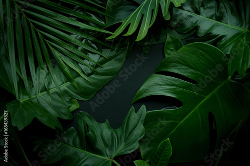 Foto Real leaves with white copy space background