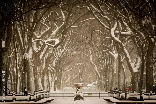 Snow storm at Central Park, New York City. Sepia toned.