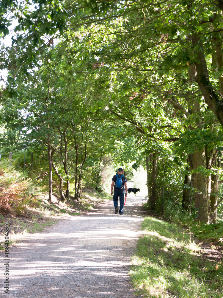 a man outside on country walk walking his dog in distance