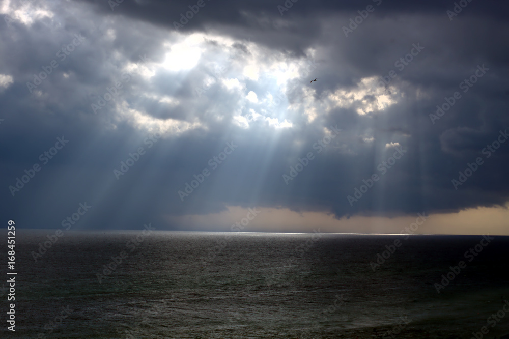 Rays of Hope on the Ocean