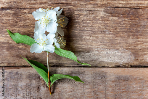 Jasmine on a wooden table