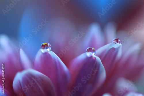 Gentle romantic artistic image. Soft pastel background blur .Reflection of the flower in the dew drop.Shallow depth of field.Modern art.Close up.Abstract macro photo with water drops.