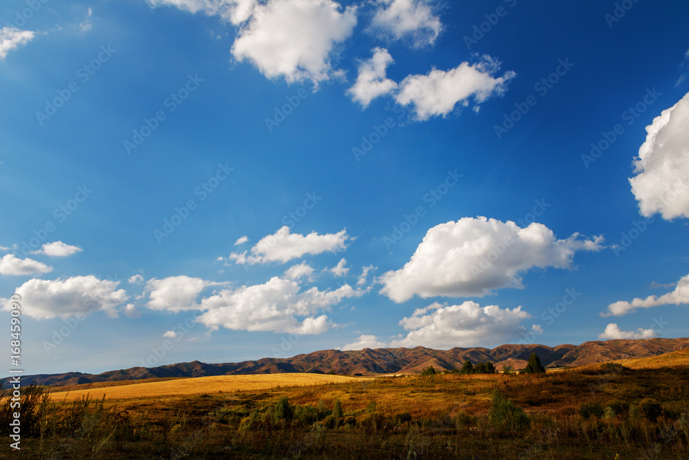 Beautiful day in the country grassy hill blue sky
