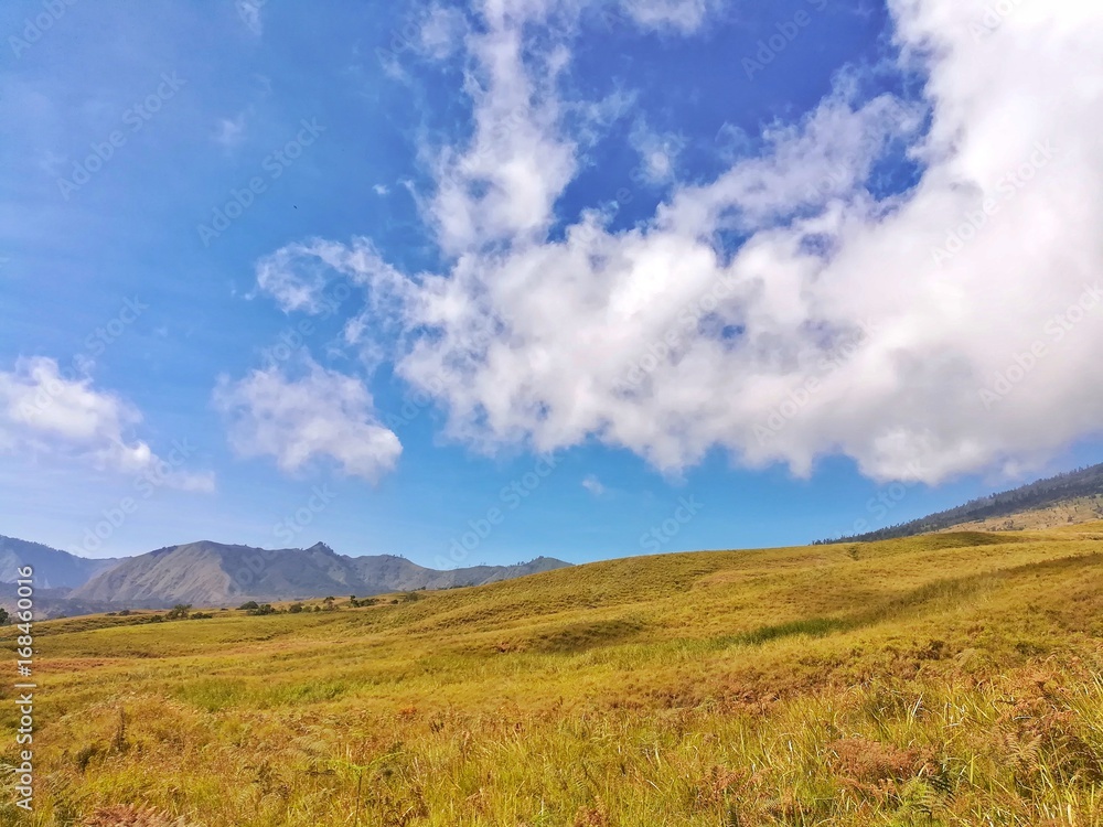 Cloud in the blue sky and yellow grass field. Way to mountain Rinjani, Lombok, Indonesia