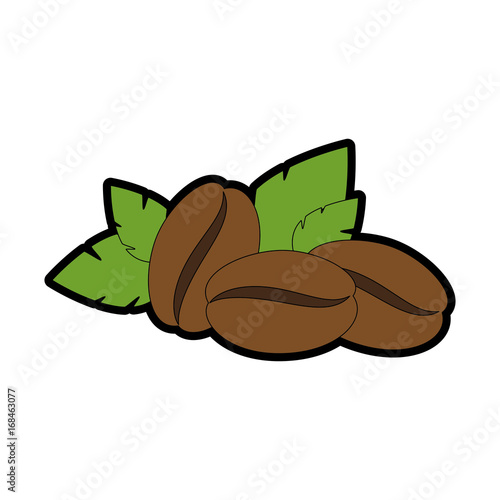 coffee bean icon over white background vector illustration