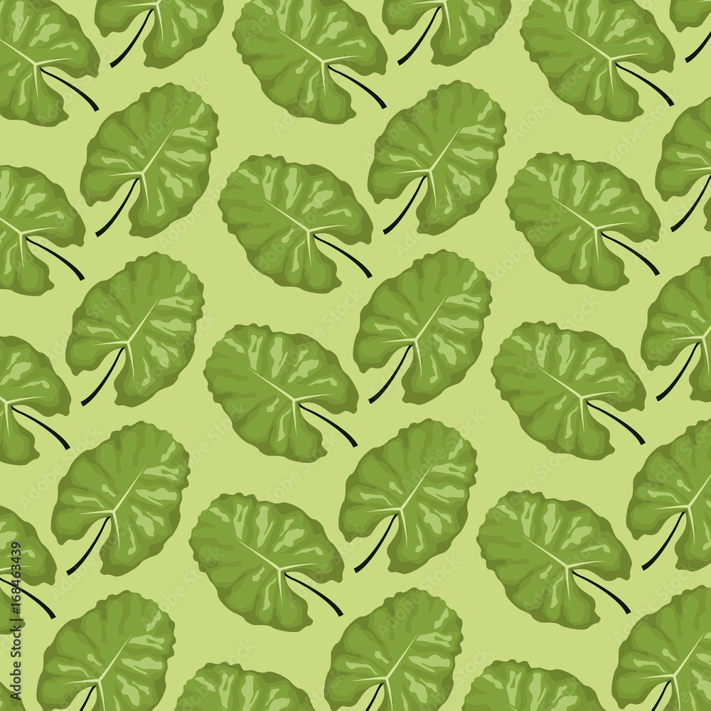 pattern color set decorative of tropical lanceolate green leaves vector illustration