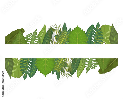 white background with linear edge decorative of green leaves vector illustration