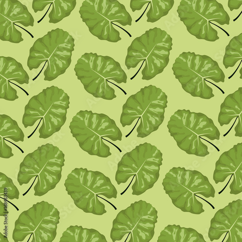 pattern color set decorative of tropical lanceolate green leaves vector illustration © Jemastock