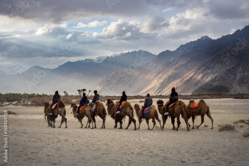 Group of tourist riding camel with light casting on moutain range view in Hunder sand dunes, Nubra valley, Ladakh photo