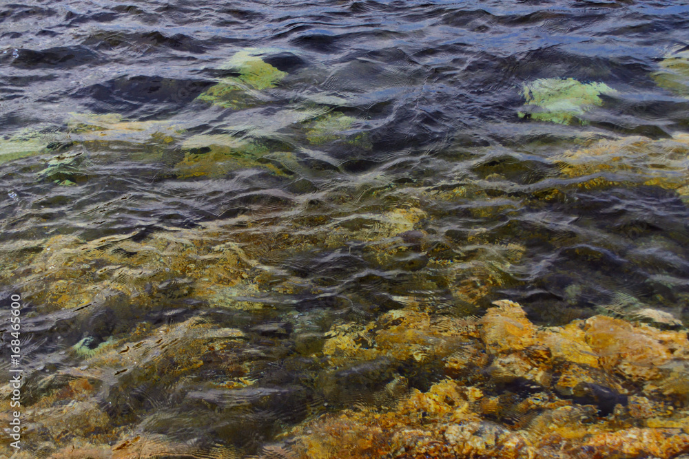 Coral Sea above Water