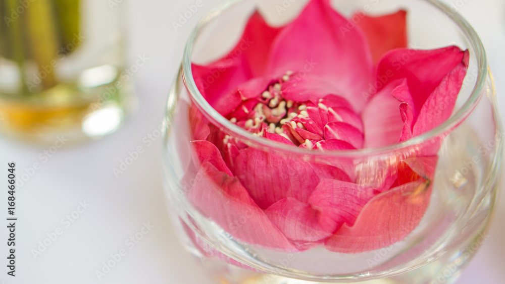 Pink lotus, water lily decorate in glass. Modern style theme for wedding and valentines Pink lotus, water lily decorate in glass. Modern style theme for wedding and valentines