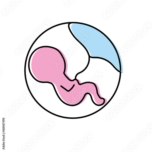baby with umbilical cord inside mothers uterus