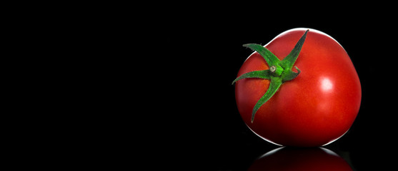 One tomato on black background