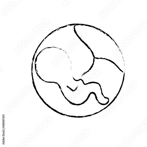 figure baby with umbilical cord inside mothers uterus