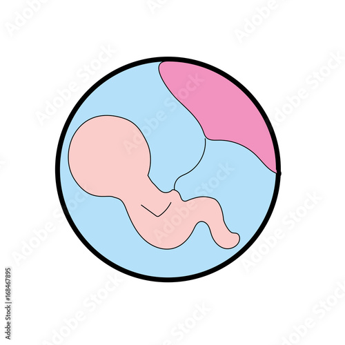 baby with umbilical cord inside mothers uterus