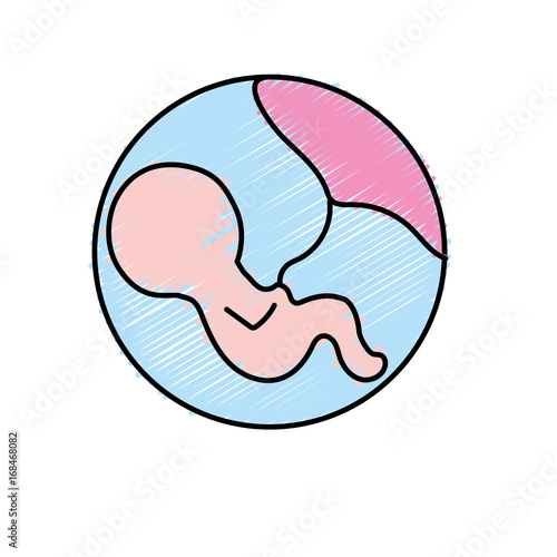 baby with umbilical cord inside mothers uterus