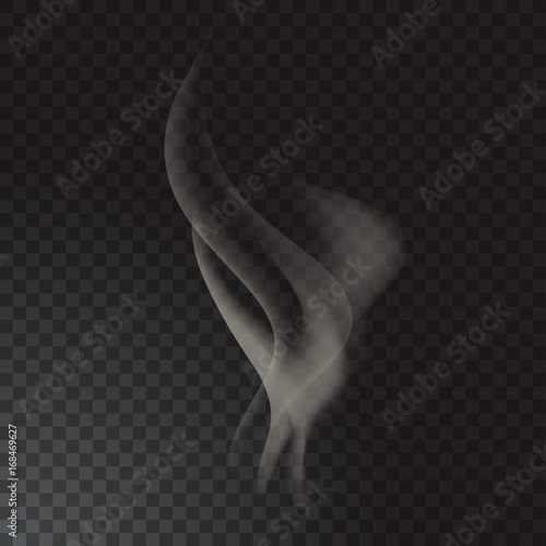 Delicate cigarette smoke waves on transparent background