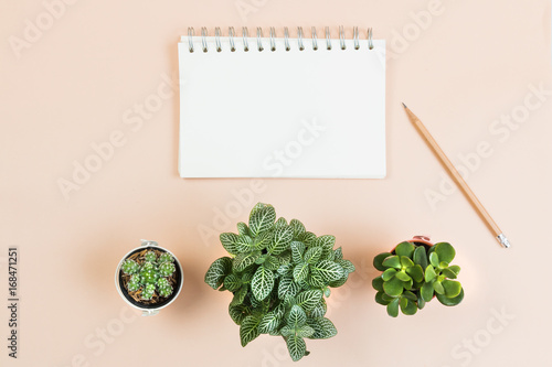 Flat lay empty book and pencil for design work with small cactus on yellow pastel color background.