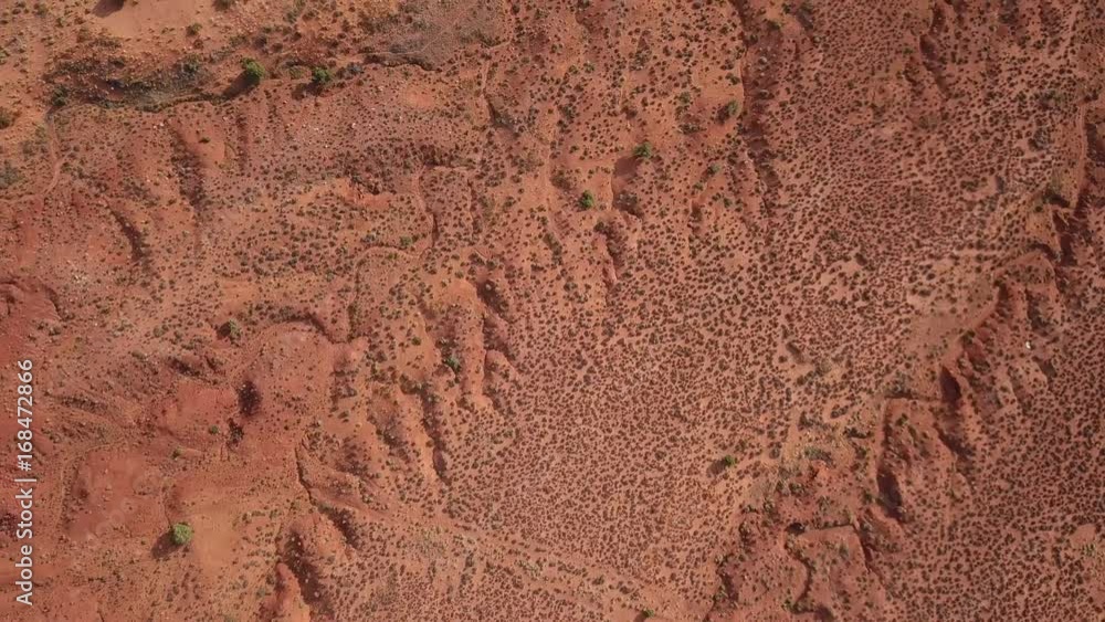 Ground of the desert in Nevada USA Ground of the desert in Nevada USA