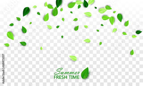 Summer fresh time creative banner with falling green 3d paper leaves on white transparent background. Vector illustration. All isolated and layered