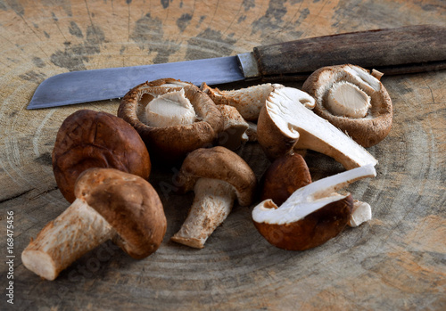 Fresh mushrooms on wood
