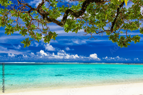 Beach on tropical island during sunny day framed by a tree with green leaves