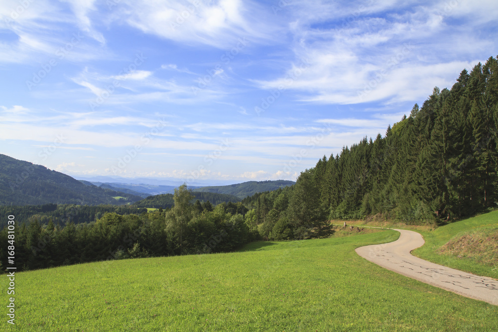 Blick über das kleine Wiesental