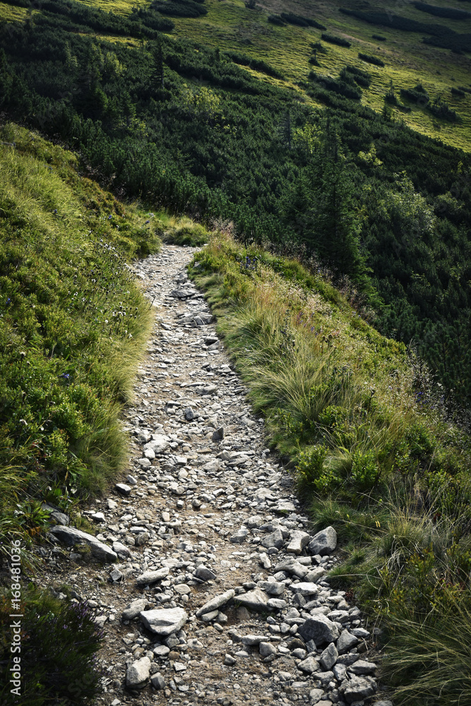 stone walkway in the mountains stone walkway in the mountains